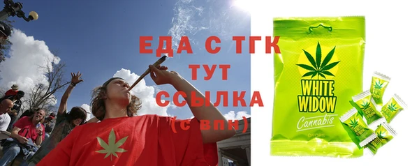 дживик Богородицк
