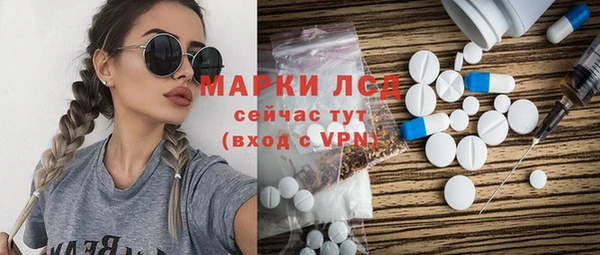 дживик Богородицк