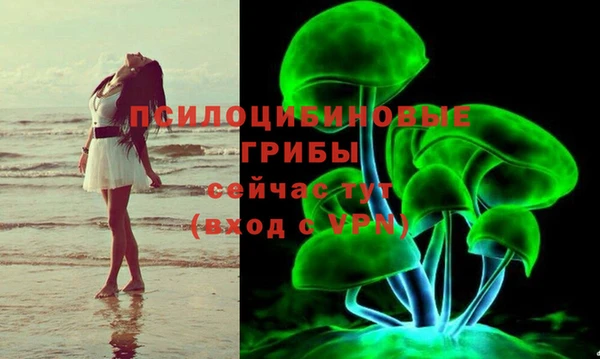 меф Богородск