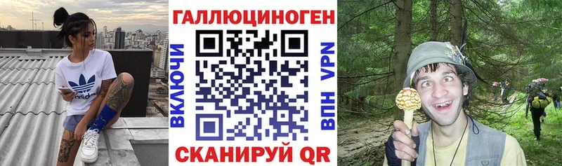 Галлюциногенные грибы Psilocybe Мглин
